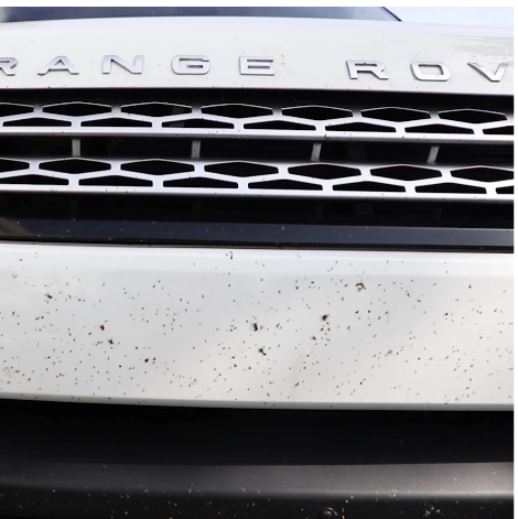 Rebel Buzz-Off Bug Remover