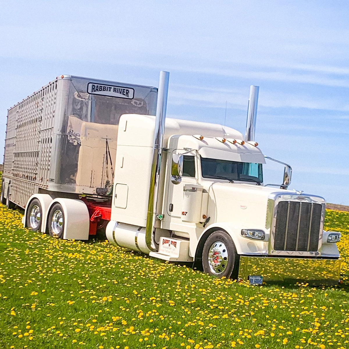 Shift Single Axle Fiberglass Rear Fenders